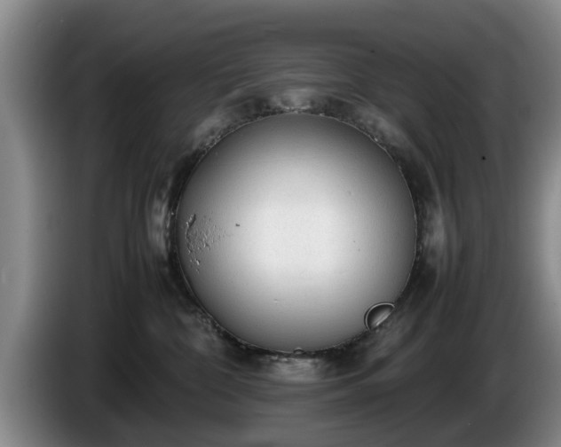 X0000086230332200704051202