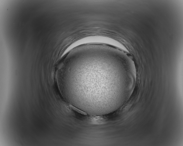 X0000086230333200704051202