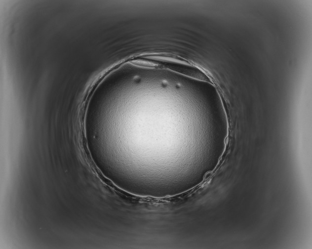 X0000086230337200704051201