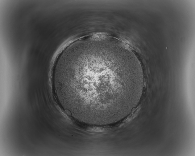 X0000086230341200704051201