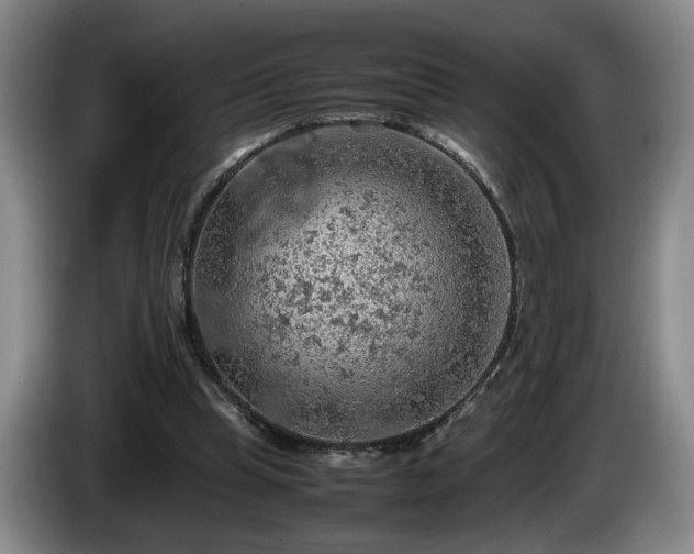 X0000086230345200704051202