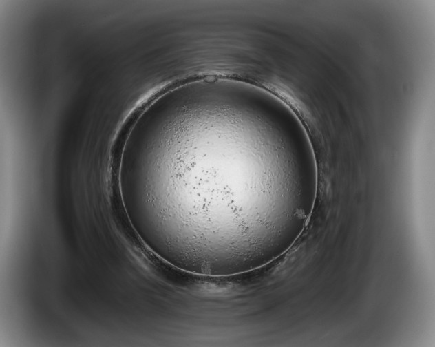 X0000086230346200704051202