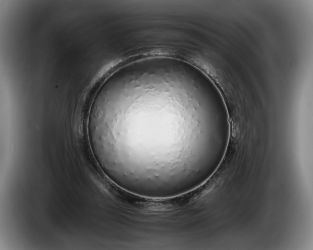 X0000086230347200704051202