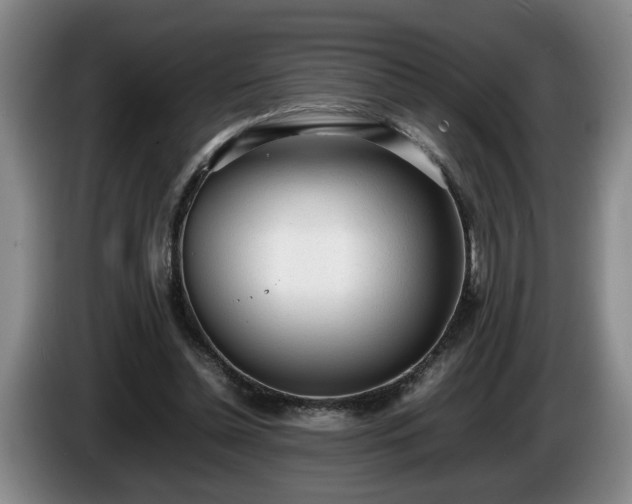 X0000086230348200704051202