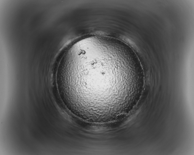 X0000086230351200704051202