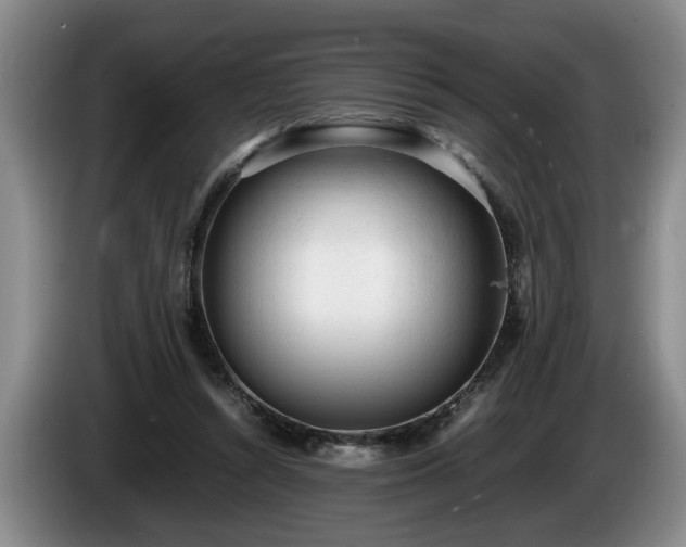 X0000086230352200704051202