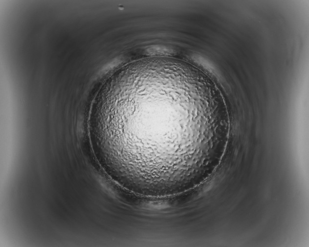 X0000086230353200704051202