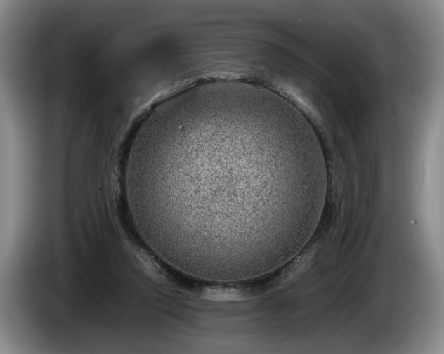 X0000086230354200704051202