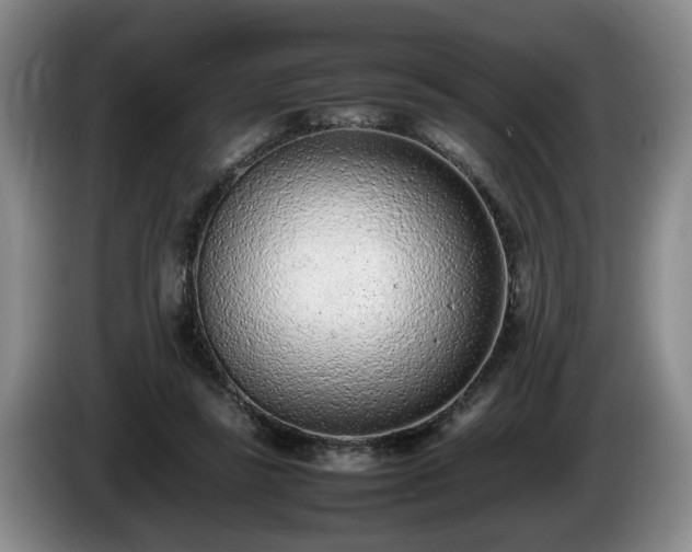 X0000086230355200704051202