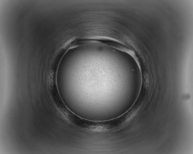 X0000086230356200704051202