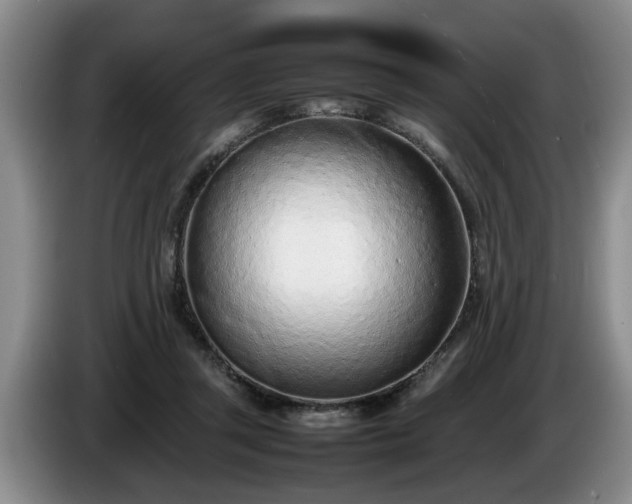 X0000086230357200704051202