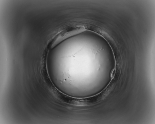 X0000086230359200704051202