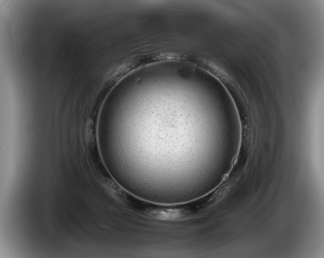 X0000086230361200704051202