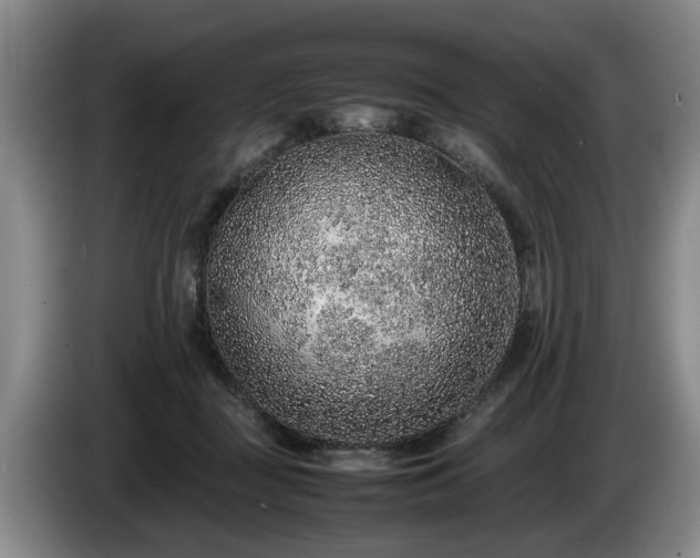 X0000086230363200704051202