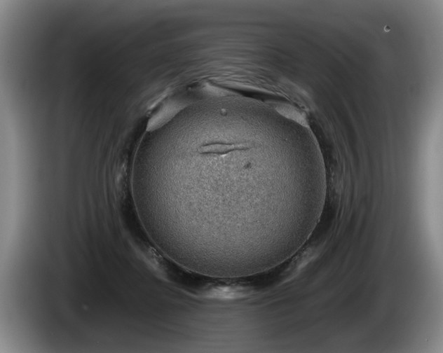 X0000086230364200704051202