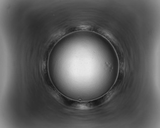 X0000086230365200704051202