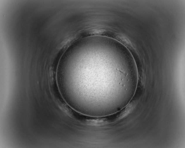 X0000086230366200704051202