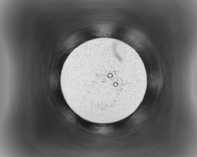 X0000086230370200704051202