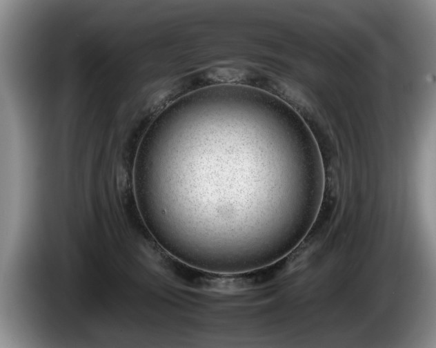 X0000086230371200704051202