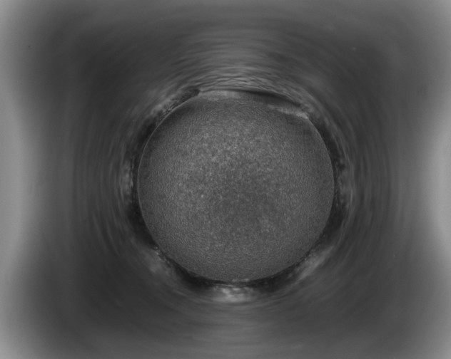 X0000086230372200704051202