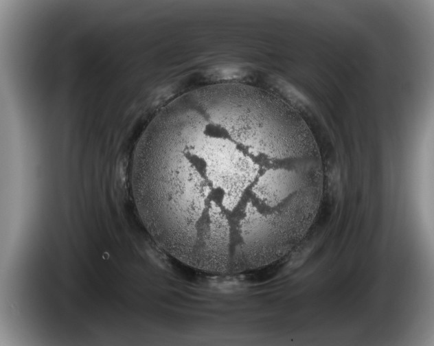 X0000086230373200704051202