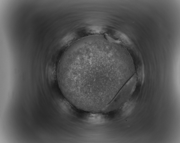 X0000086230376200704051202