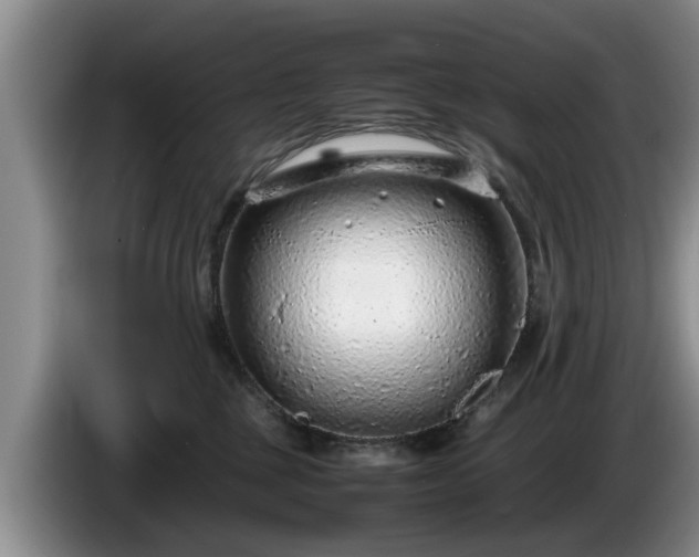 X0000086230377200704051202