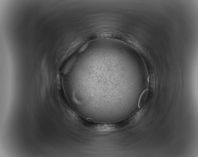 X0000086230378200704051202