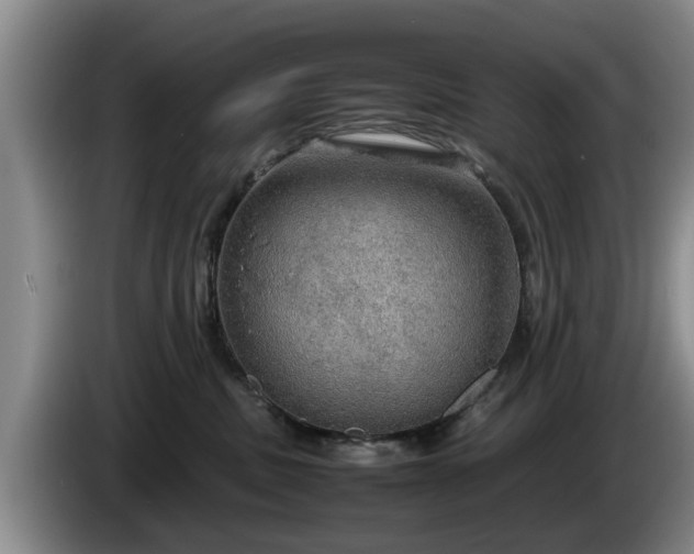 X0000086230379200704051202