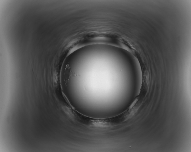 X0000086230380200704051202