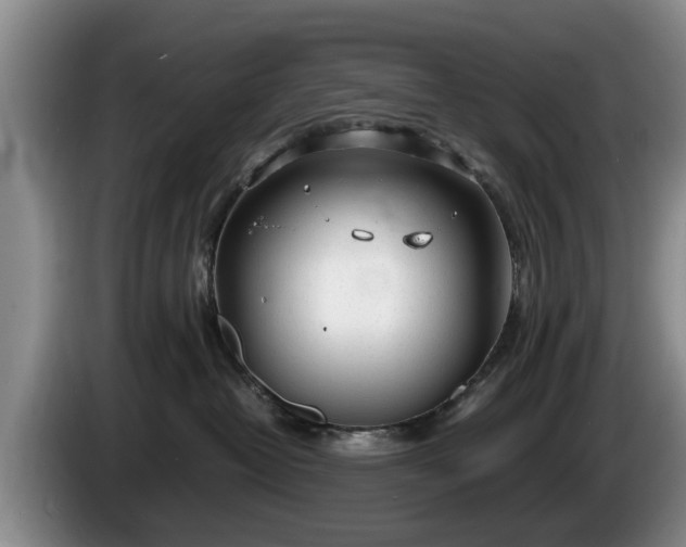 X0000086230382200704051202