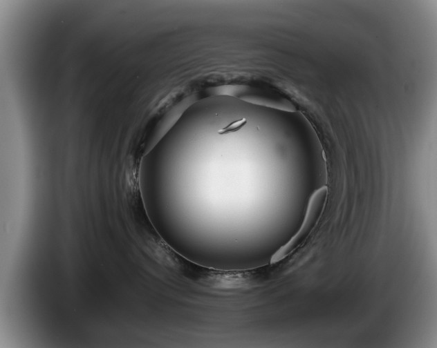 X0000086230384200704051202