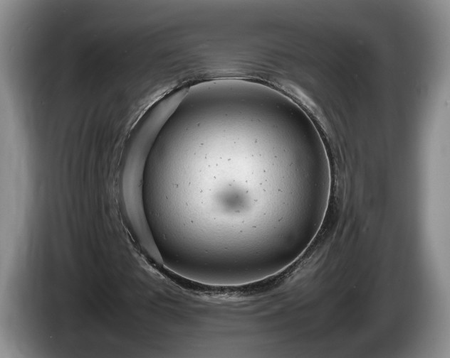 X0000086230385200704051201