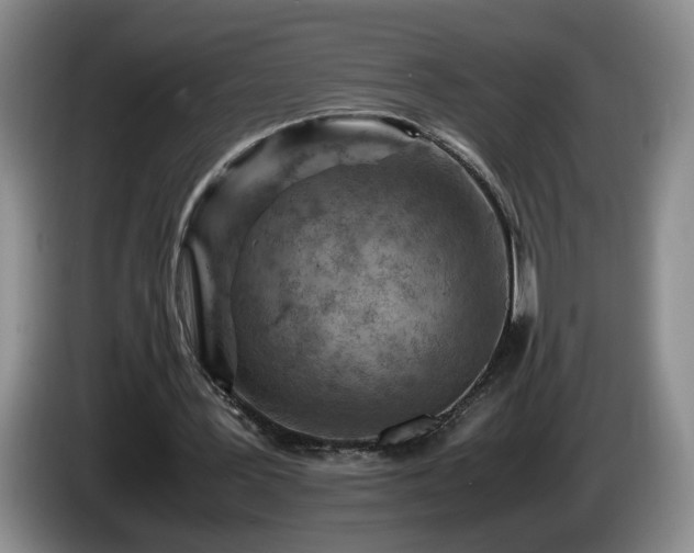 X0000086230387200704051201