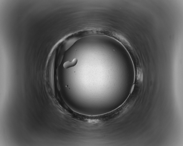 X0000086230388200704051201