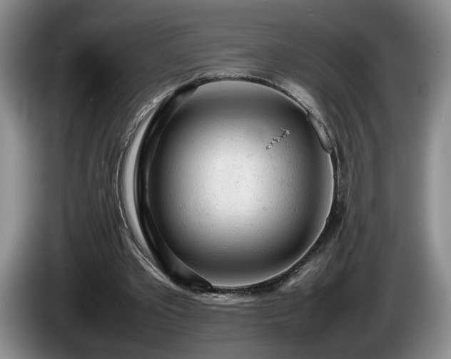 X0000086230389200704051201