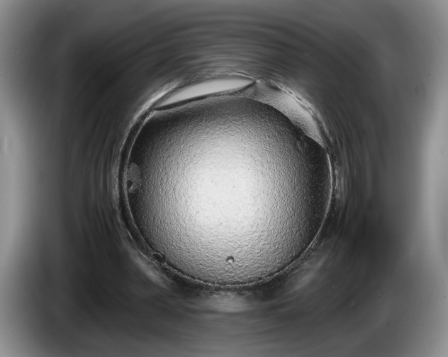 X0000086230390200704051201