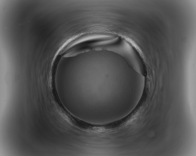 X0000086230391200704051201