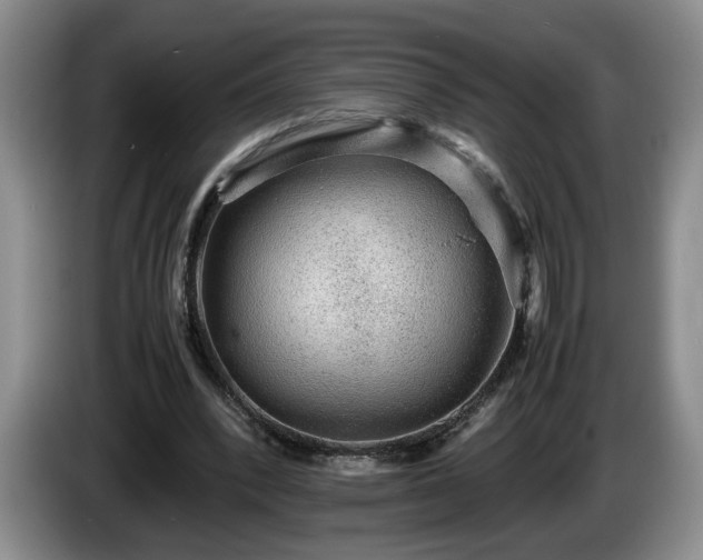 X0000086230392200704051201