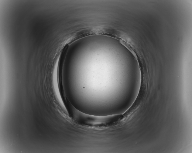 X0000086230393200704051201