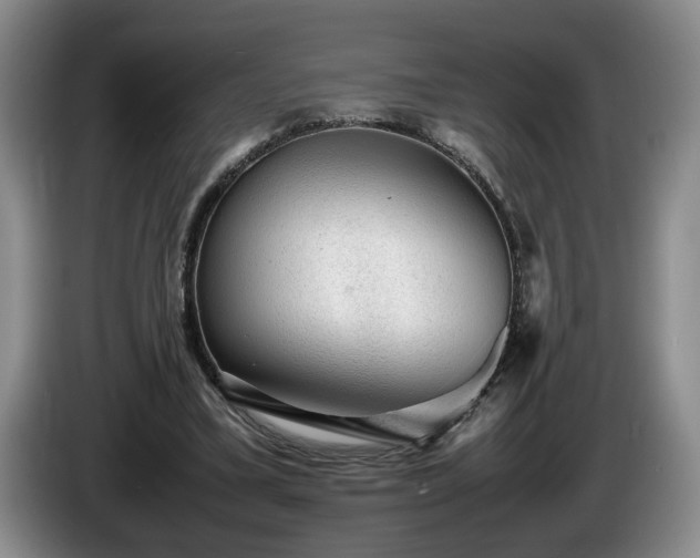 X0000086230395200704051201