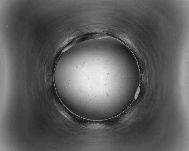 X0000086230397200704051201