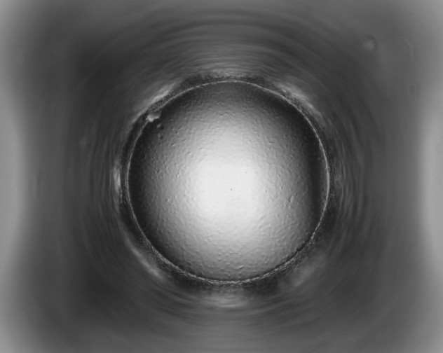 X0000086230398200704051201