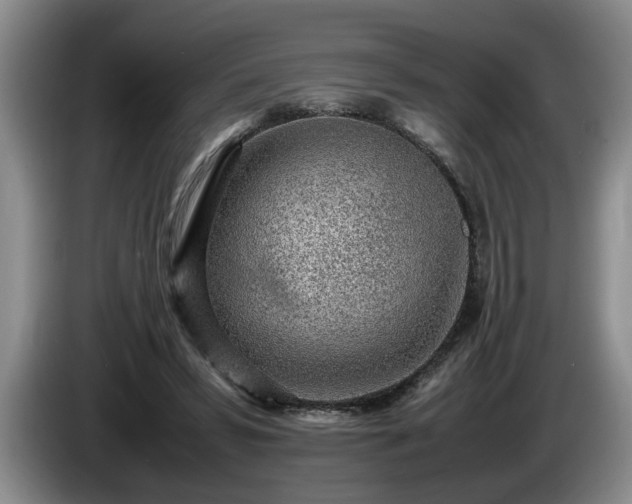 X0000086230399200704051201