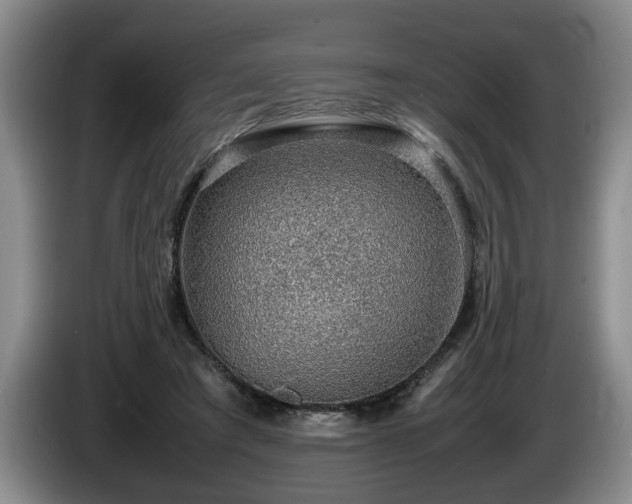 X0000086230401200704051201