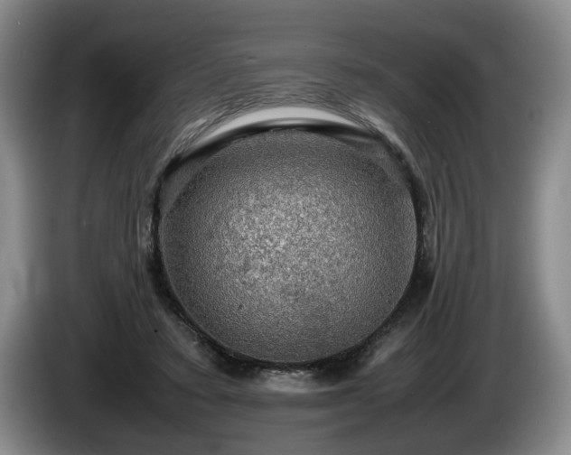 X0000086230403200704051201