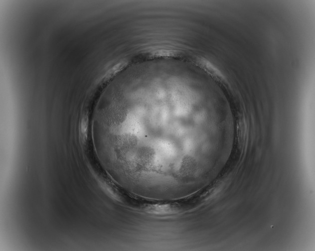 X0000086230406200704051201