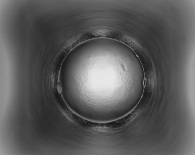 X0000086230408200704051201