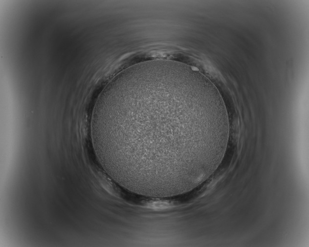 X0000086230413200704051201