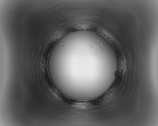 X0000086230414200704051201